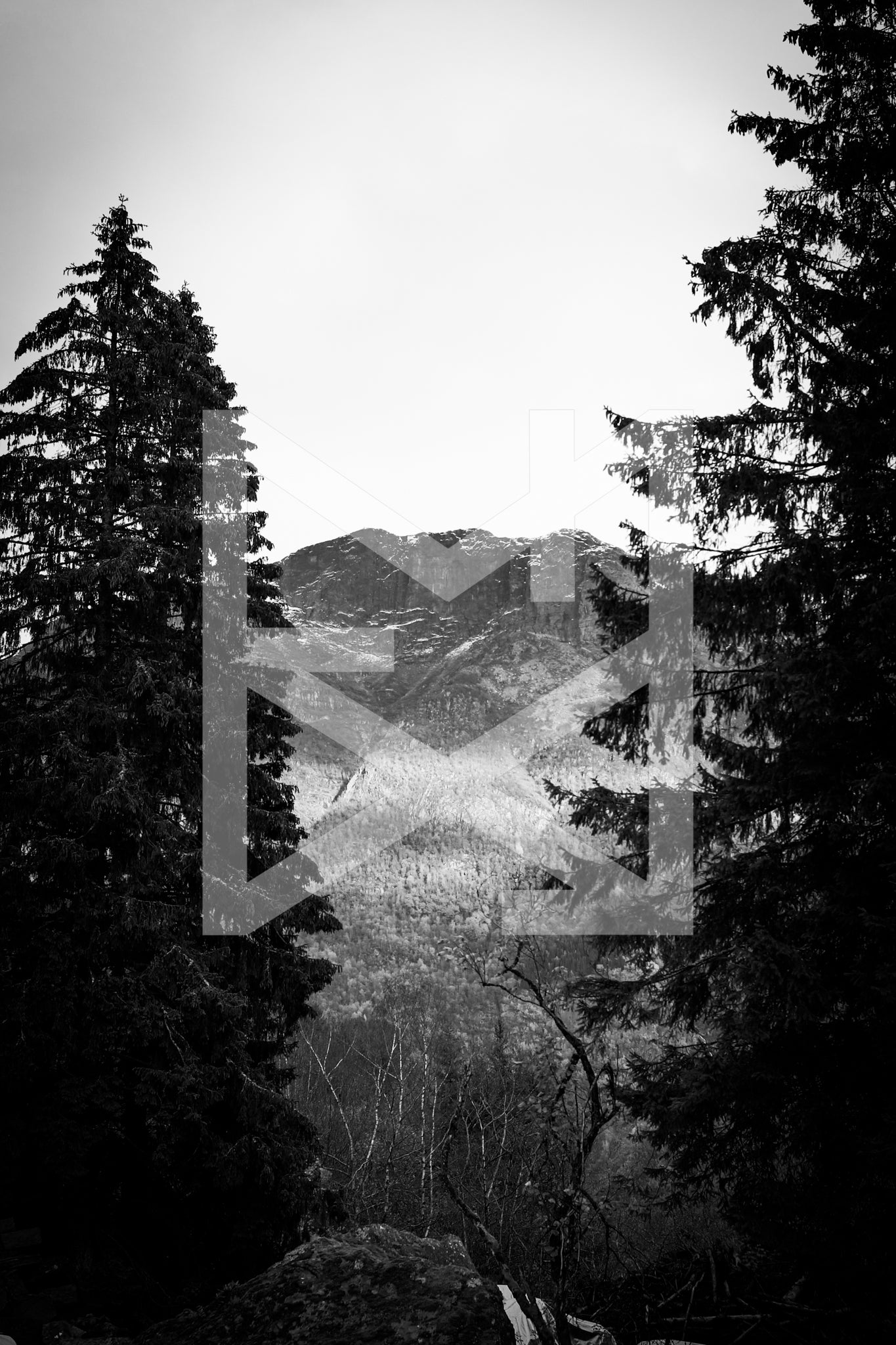 Mountain through the Trees