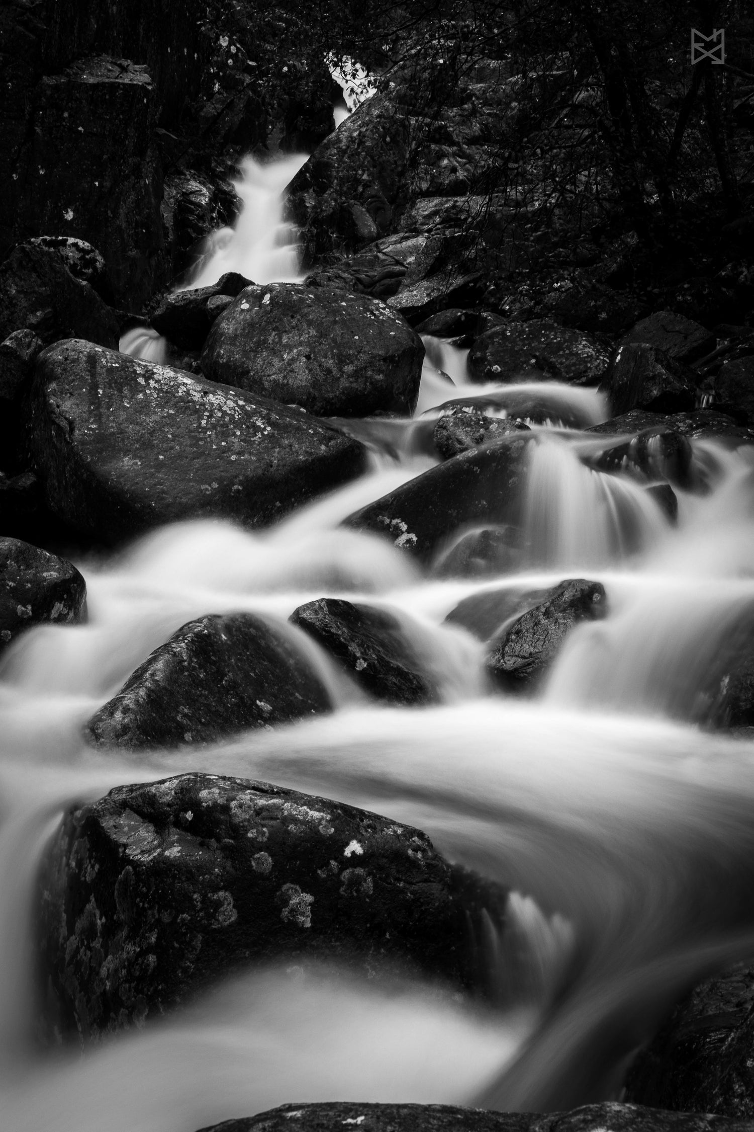 Black and White Prints